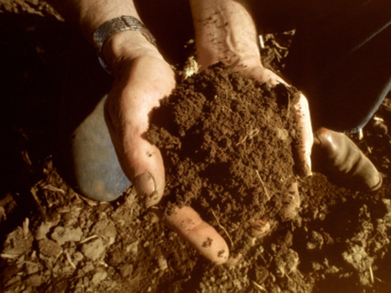 Caracterização dos Solos